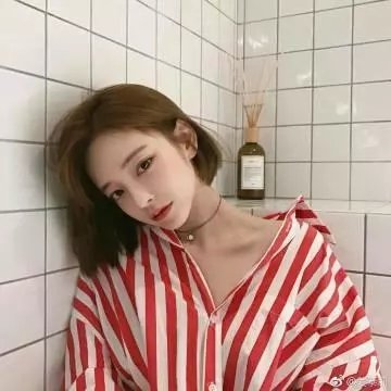 小小北极熊